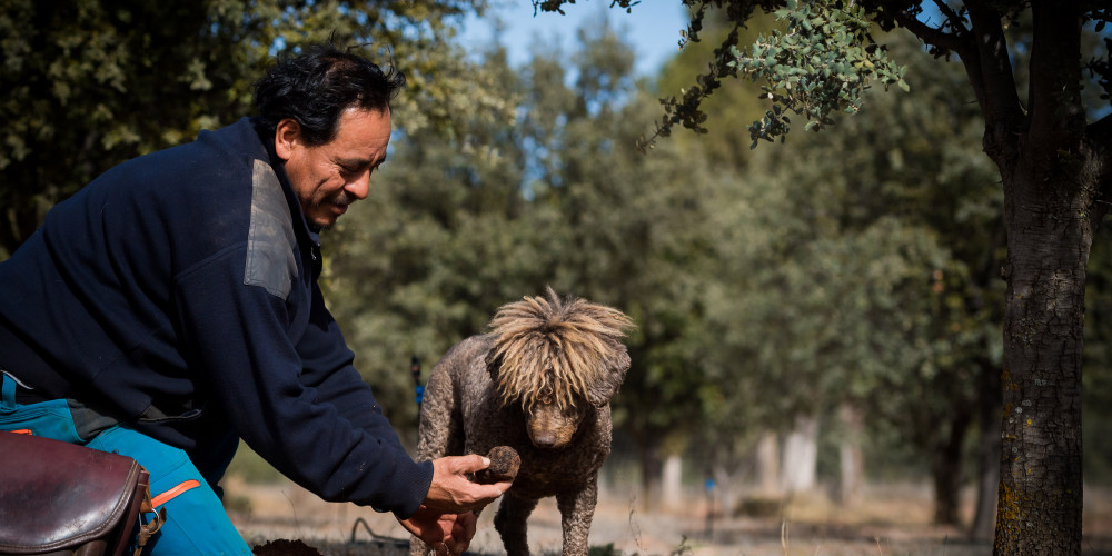 Las truficas del Río Pilas